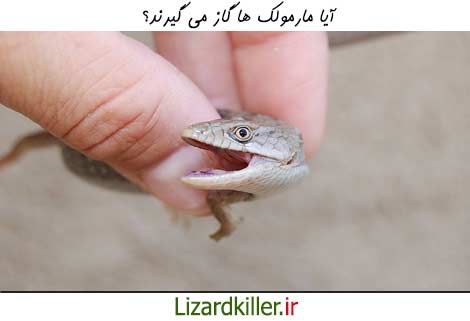 آیا مارمولک ها گاز می گیرند؟